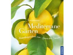 Mediterran Buch 3