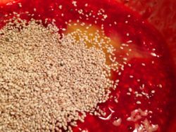 Chia-Samen und Süße in die abgekühlten Früchte geben