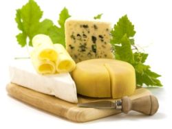 Käse - Auswahl an zinkhaltigen Lebensmitteln