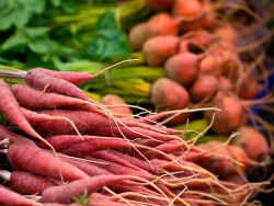 Wurzelgemüse mit Blättern