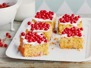 Sommerliche Johannisbeer-Ideen Rezepte