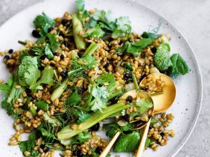 Dinkelsalat mit Fenchel und Johannisbeeren Rezept