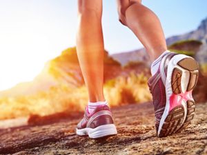 Prof. Froböse über die fünf größten Fitness-Mythen