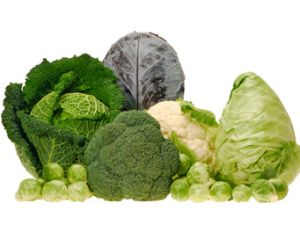 Die beliebtesten Kohlsorten - Kleine Kohlkunde