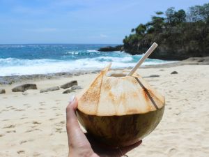 Kokosmilch und Kokoswasser: Was ist der Unterschied?