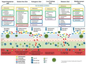 Gesunder Darm dank dieser Ernährung