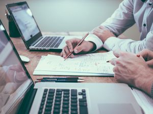 Junior Sales Manager (m/w/d)