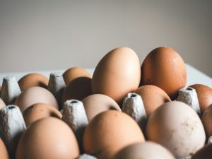 Fleisch und Eier erhöhen Schlaganfall-Risiko