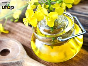 Das große Frühlings-Special mit Rapsöl