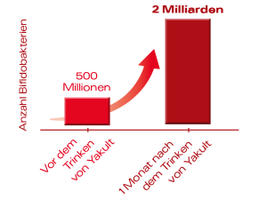 Gute Bakterien für den Darm