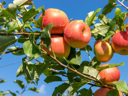 © Unsplash/ Kelsey Todd