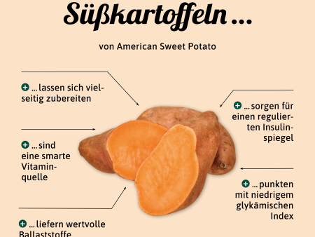 Warenkunde amerikanische Süßkartoffel