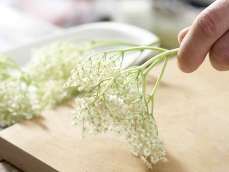 Ausgebackene Holunderblüten Zubereitung Schritt 1 Ausgebackene Holunderblüten Zubereitung Schritt 1