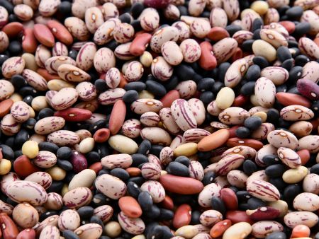 © Unsplash/ Shelley Pauls