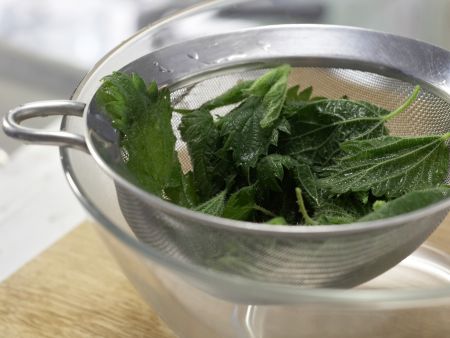 Brennnessel-Kohlrabi-Gratin Zubereitung Schritt 2 Brennnessel-Kohlrabi-Gratin Zubereitung Schritt 2