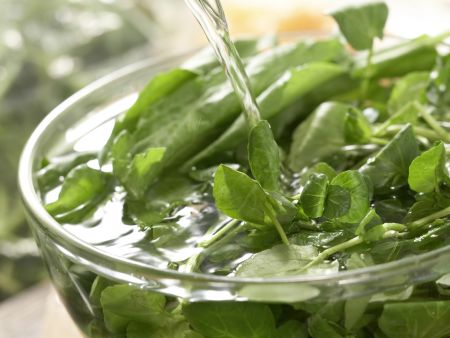 Brunnenkresse-Gurken-Salat Zubereitung Schritt 2 Brunnenkresse-Gurken-Salat Zubereitung Schritt 2