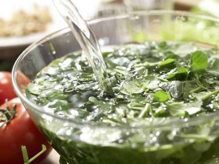Brunnenkressesalat Zubereitung Schritt 3 Brunnenkressesalat Zubereitung Schritt 3