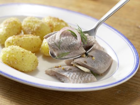 Eingelegter Matjes Zubereitung Schritt 9 Eingelegter Matjes Zubereitung Schritt 9