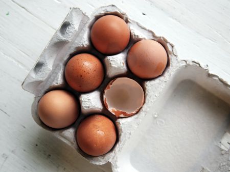 Schützt Eiweiß vor Leberfett?