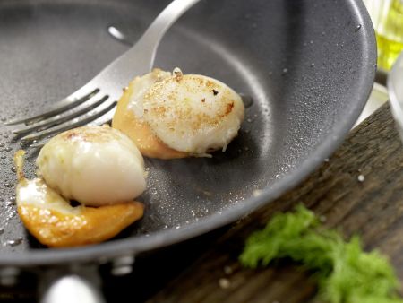 Feine Fenchelcremesuppe Zubereitung Schritt 7 Feine Fenchelcremesuppe Zubereitung Schritt 7
