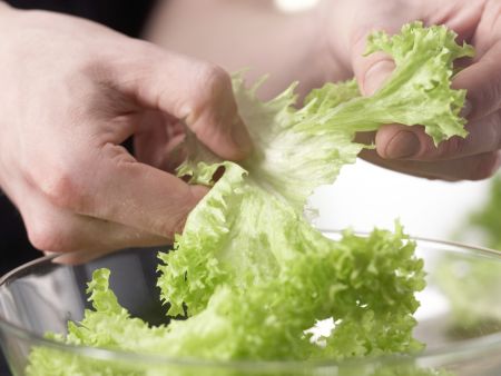 Feiner Blattsalat Zubereitung Schritt 1 Feiner Blattsalat Zubereitung Schritt 1