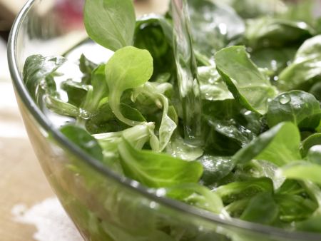 Feldsalat mit Emmentaler Zubereitung Schritt 8 Feldsalat mit Emmentaler Zubereitung Schritt 8