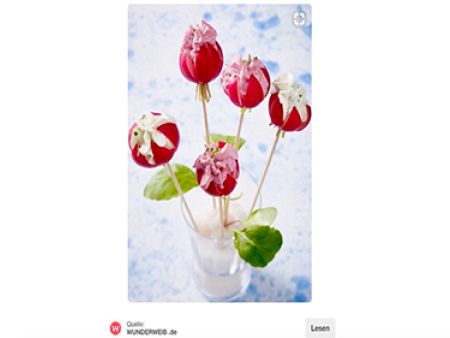 DIY: Food-Pops selber machen