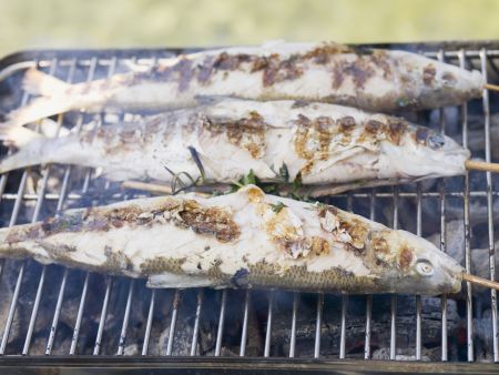 Forellen vom Grill Rezept