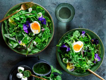 Frühlingskräutersalat