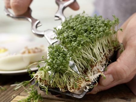 Gefüllte Wasabi-Eier Zubereitung Schritt 7 Gefüllte Wasabi-Eier Zubereitung Schritt 7