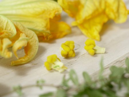 Gegrillte Zucchiniblüten Zubereitung Schritt 3 Gegrillte Zucchiniblüten Zubereitung Schritt 3
