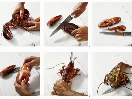 Gekochten Hummer zerteilen Rezept
