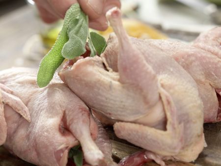 Geschmorte Wachtel Zubereitung Schritt 4 Geschmorte Wachtel Zubereitung Schritt 4