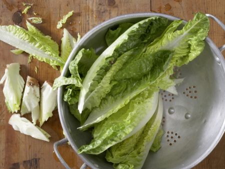 Geschmorter Römersalat Zubereitung Schritt 1 Geschmorter Römersalat Zubereitung Schritt 1