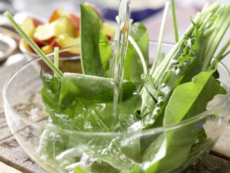 Grüner Nektarinen-Drink Zubereitung Schritt 3 Grüner Nektarinen-Drink Zubereitung Schritt 3