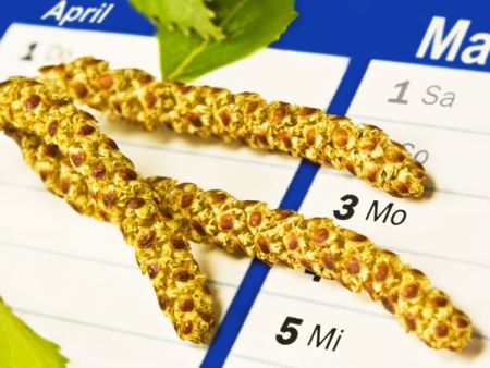 Tipps bei Heuschnupfen