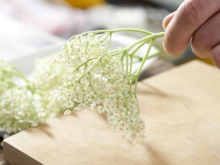 Holunderblüten-Joghurt-Eis Zubereitung Schritt 1 Holunderblüten-Joghurt-Eis Zubereitung Schritt 1