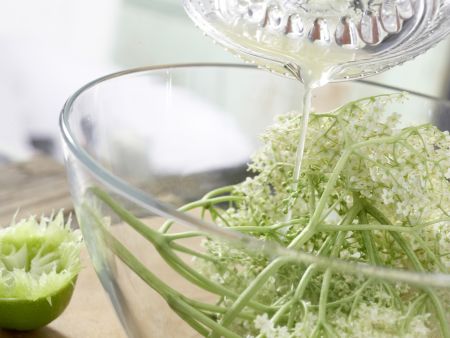 Holunderblüten-Joghurt-Eis Zubereitung Schritt 2 Holunderblüten-Joghurt-Eis Zubereitung Schritt 2