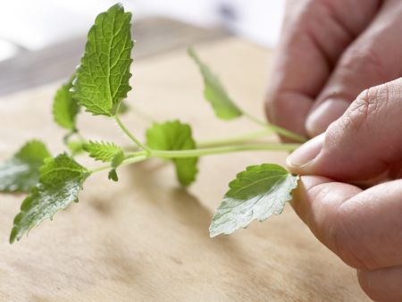 Holunderblüten-Joghurt-Eis Zubereitung Schritt 8 Holunderblüten-Joghurt-Eis Zubereitung Schritt 8