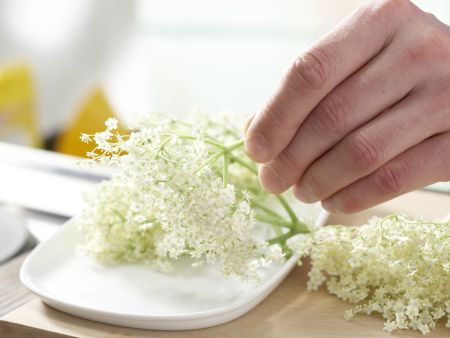 Holunderblüten-Küchlein Zubereitung Schritt 1 Holunderblüten-Küchlein Zubereitung Schritt 1