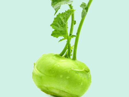 Kohlrabi