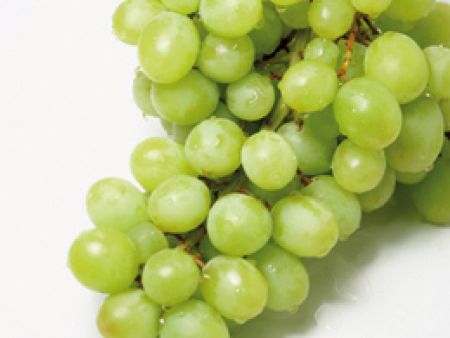 Trauben