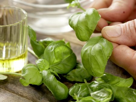 Ingwersuppe Zubereitung Schritt 7 Ingwersuppe Zubereitung Schritt 7
