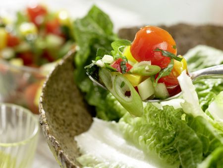 Kabeljau auf Gemüsesalat Zubereitung Schritt 9 Kabeljau auf Gemüsesalat Zubereitung Schritt 9
