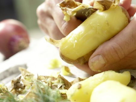 Kartoffelsalat – smarter Zubereitung Schritt 1 Kartoffelsalat – smarter Zubereitung Schritt 1