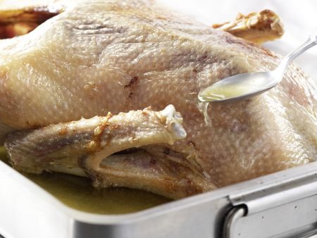 Knusprig gebratene Gans Zubereitung Schritt 8 Knusprig gebratene Gans Zubereitung Schritt 8