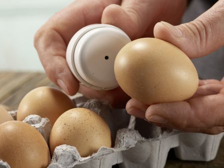 Löwenzahn-Kartoffel-Püree Zubereitung Schritt 5 Löwenzahn-Kartoffel-Püree Zubereitung Schritt 5