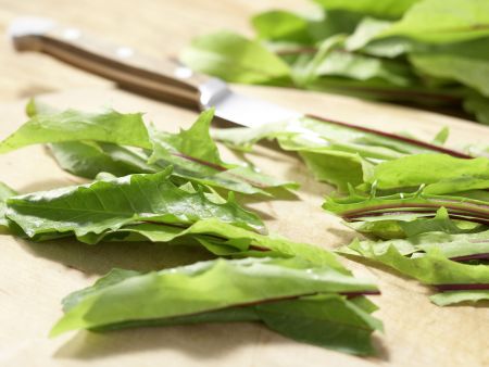 Löwenzahnsalat Zubereitung Schritt 1 Löwenzahnsalat Zubereitung Schritt 1