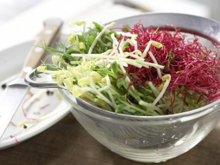 Mairübensalat mit Sprossen Zubereitung Schritt 7 Mairübensalat mit Sprossen Zubereitung Schritt 7