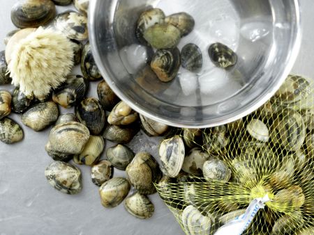 Marinierte Venusmuscheln Zubereitung Schritt 1 Marinierte Venusmuscheln Zubereitung Schritt 1